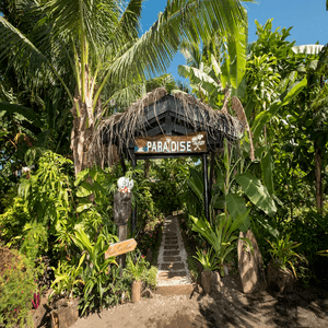 Diving_Express_Fiji_Taveuni_Island_Dive_Tour_Image_Paradise_Taveuni_Resort_1