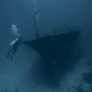 Diving_Express_Dive_Tour_Under_Water_Image_Maldives_3