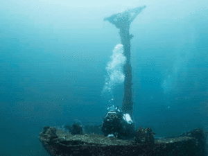Diving_Express_Philippines_Puerto_Galera_Dive_Tour_UWImage_7