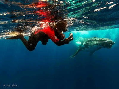 Diving_Express_Tonga_Dive_Tour_UWImage_2