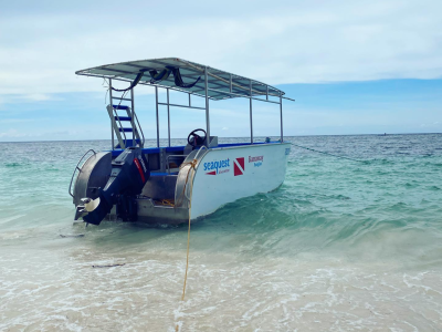 Diving_Express_Bohol_Dive_Tour_Image_Oasis_Resort_3