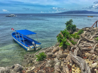 Diving_Express_Bohol_Dive_Tour_Image_Relax_Diver_Resort_02
