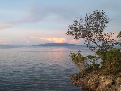 Diving_Express_Bohol_Dive_Tour_Image_Relax_Diver_Resort_07