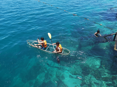 Diving_Express_Malaysia_Dive_Tour_Image_Borneo_Dive_Resort_Beach_08