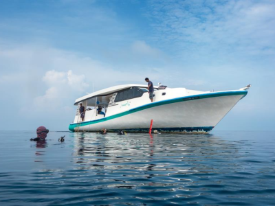 Diving_Express_Maldives_Dive_Tour_Image_Liveaboard_Emperor_Leo_007