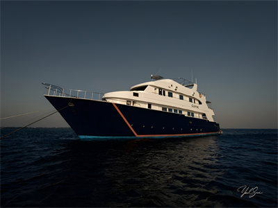 DE_RedSea_Divetour_Liveboard_ DUNEGhani_1006