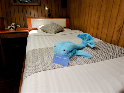 DE_Palau_Divetour_Livraboard_SeaSafari8_08