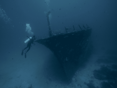 Diving_Express_Dive_Tour_Under_Water_Image_Maldives_3