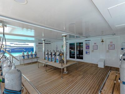 Diving_Express_Red_Sea_Dive_Tour_MY C-ECHO II_4
